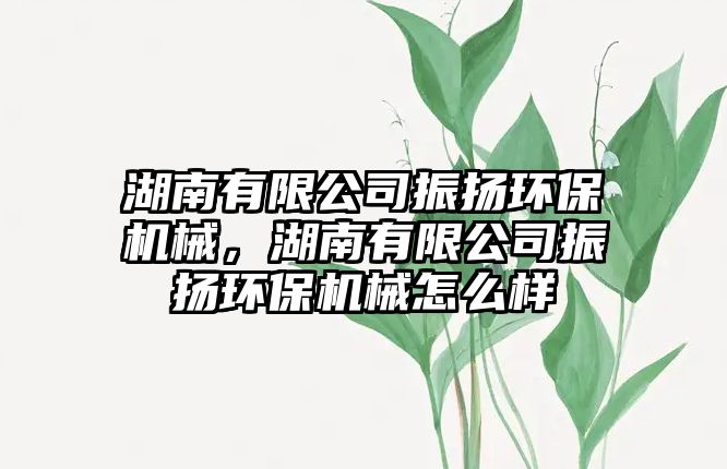 湖南有限公司振揚環(huán)保機械，湖南有限公司振揚環(huán)保機械怎么樣