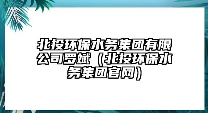 北投環(huán)保水務集團有限公司羅斌（北投環(huán)保水務集團官網(wǎng)）