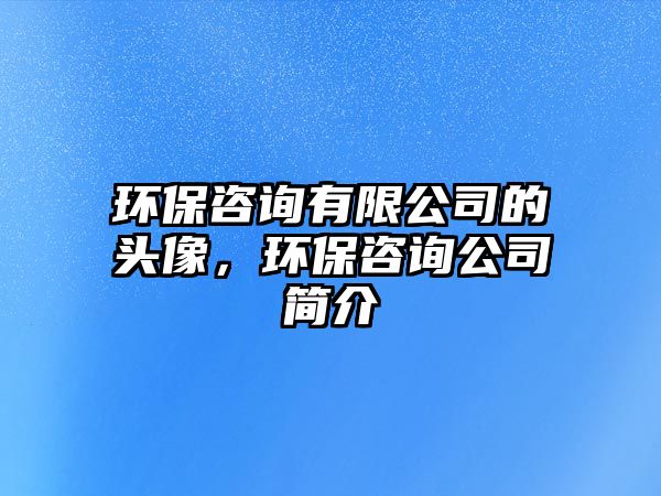 環(huán)保咨詢有限公司的頭像，環(huán)保咨詢公司簡(jiǎn)介