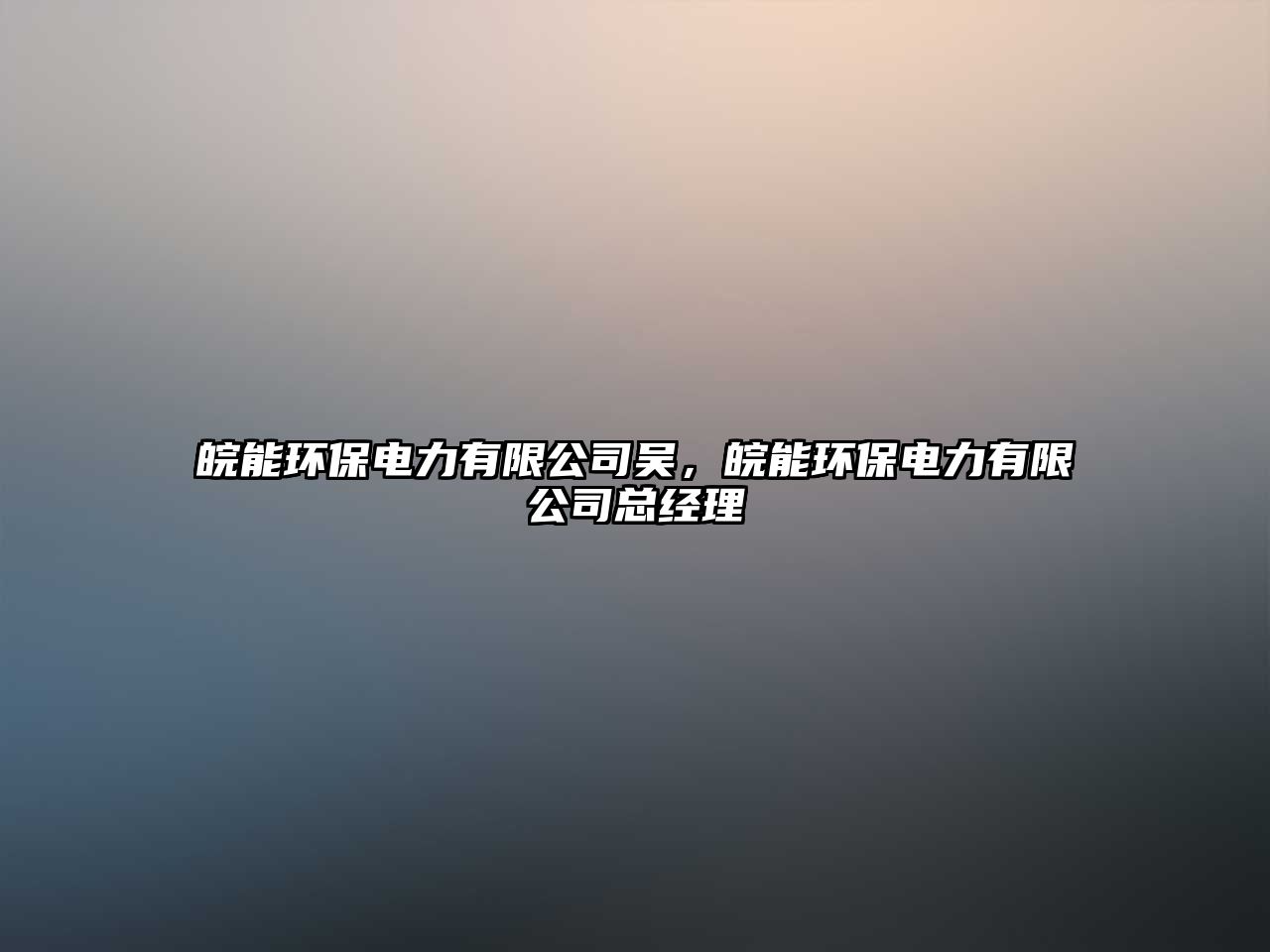 皖能環(huán)保電力有限公司吳，皖能環(huán)保電力有限公司總經(jīng)理