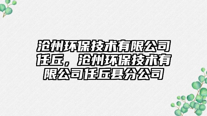 滄州環(huán)保技術有限公司任丘，滄州環(huán)保技術有限公司任丘縣分公司