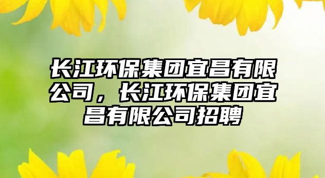 長江環(huán)保集團宜昌有限公司，長江環(huán)保集團宜昌有限公司招聘