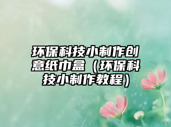 環(huán)保科技小制作創(chuàng)意紙巾盒（環(huán)?？萍夹≈谱鹘坛蹋? class=