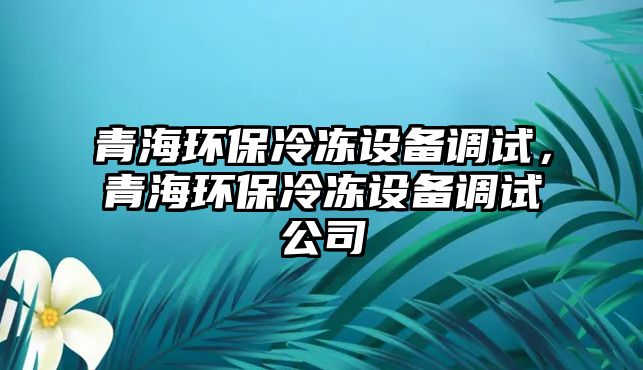 青海環(huán)保冷凍設(shè)備調(diào)試，青海環(huán)保冷凍設(shè)備調(diào)試公司