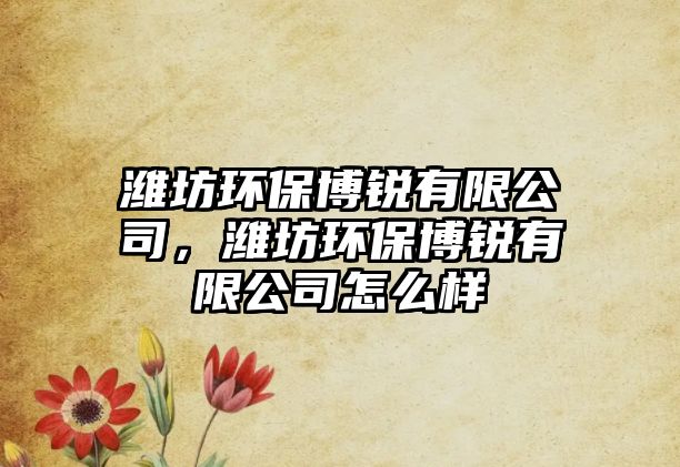 濰坊環(huán)保博銳有限公司，濰坊環(huán)保博銳有限公司怎么樣