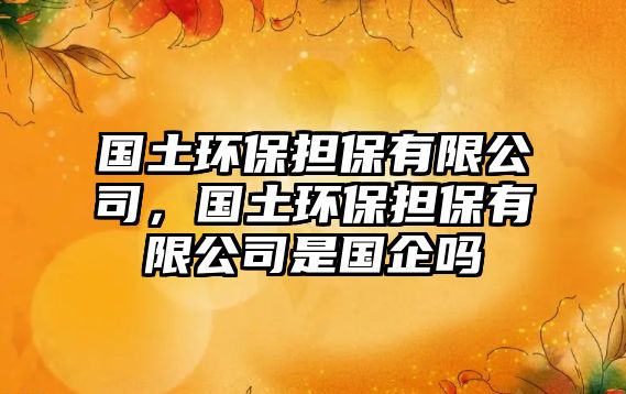 國土環(huán)保擔保有限公司，國土環(huán)保擔保有限公司是國企嗎