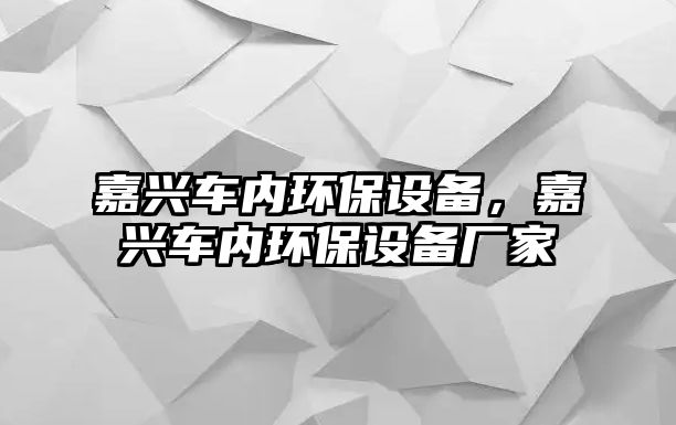 嘉興車內(nèi)環(huán)保設(shè)備，嘉興車內(nèi)環(huán)保設(shè)備廠家