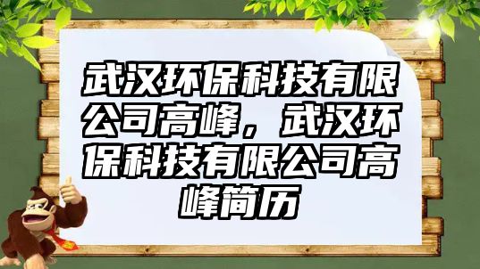 武漢環(huán)?？萍加邢薰靖叻?，武漢環(huán)保科技有限公司高峰簡(jiǎn)歷