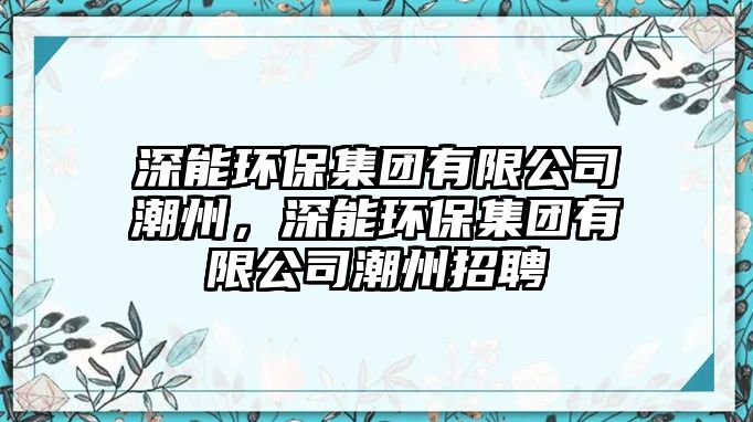 深能環(huán)保集團(tuán)有限公司潮州，深能環(huán)保集團(tuán)有限公司潮州招聘