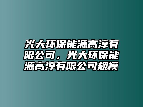 光大環(huán)保能源高淳有限公司，光大環(huán)保能源高淳有限公司規(guī)模