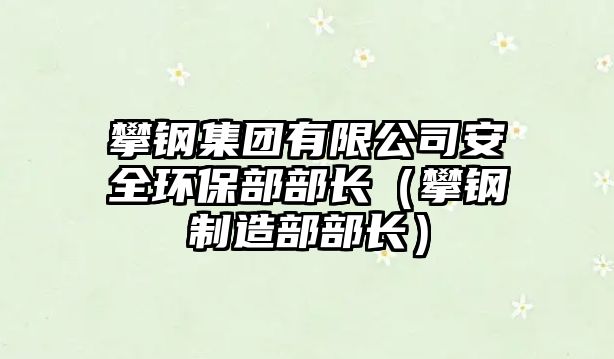 攀鋼集團有限公司安全環(huán)保部部長（攀鋼制造部部長）