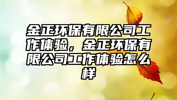 金正環(huán)保有限公司工作體驗(yàn)，金正環(huán)保有限公司工作體驗(yàn)怎么樣