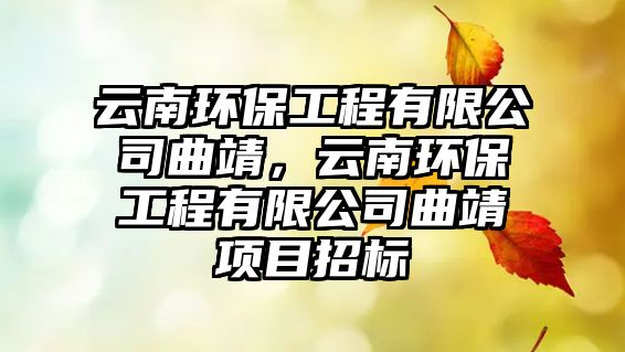 云南環(huán)保工程有限公司曲靖，云南環(huán)保工程有限公司曲靖項目招標(biāo)