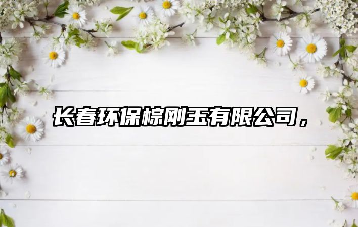 長春環(huán)保棕剛玉有限公司，