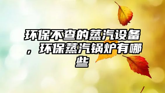 環(huán)保不查的蒸汽設(shè)備，環(huán)保蒸汽鍋爐有哪些