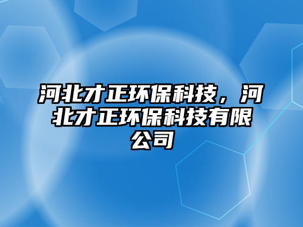 河北才正環(huán)?？萍?，河北才正環(huán)保科技有限公司