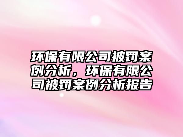 環(huán)保有限公司被罰案例分析，環(huán)保有限公司被罰案例分析報告