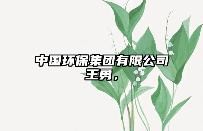 中國環(huán)保集團有限公司王勇，