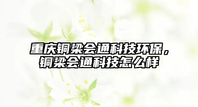 重慶銅梁會(huì)通科技環(huán)保，銅梁會(huì)通科技怎么樣