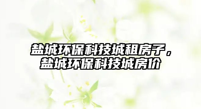 鹽城環(huán)保科技城租房子，鹽城環(huán)?？萍汲欠績r