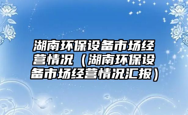 湖南環(huán)保設備市場經營情況（湖南環(huán)保設備市場經營情況匯報）