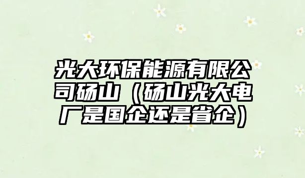 光大環(huán)保能源有限公司碭山（碭山光大電廠是國企還是省企）