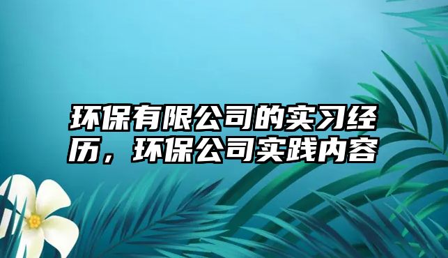 環(huán)保有限公司的實習(xí)經(jīng)歷，環(huán)保公司實踐內(nèi)容