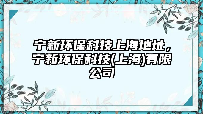 寧新環(huán)?？萍忌虾５刂罚瑢幮颅h(huán)?？萍?上海)有限公司