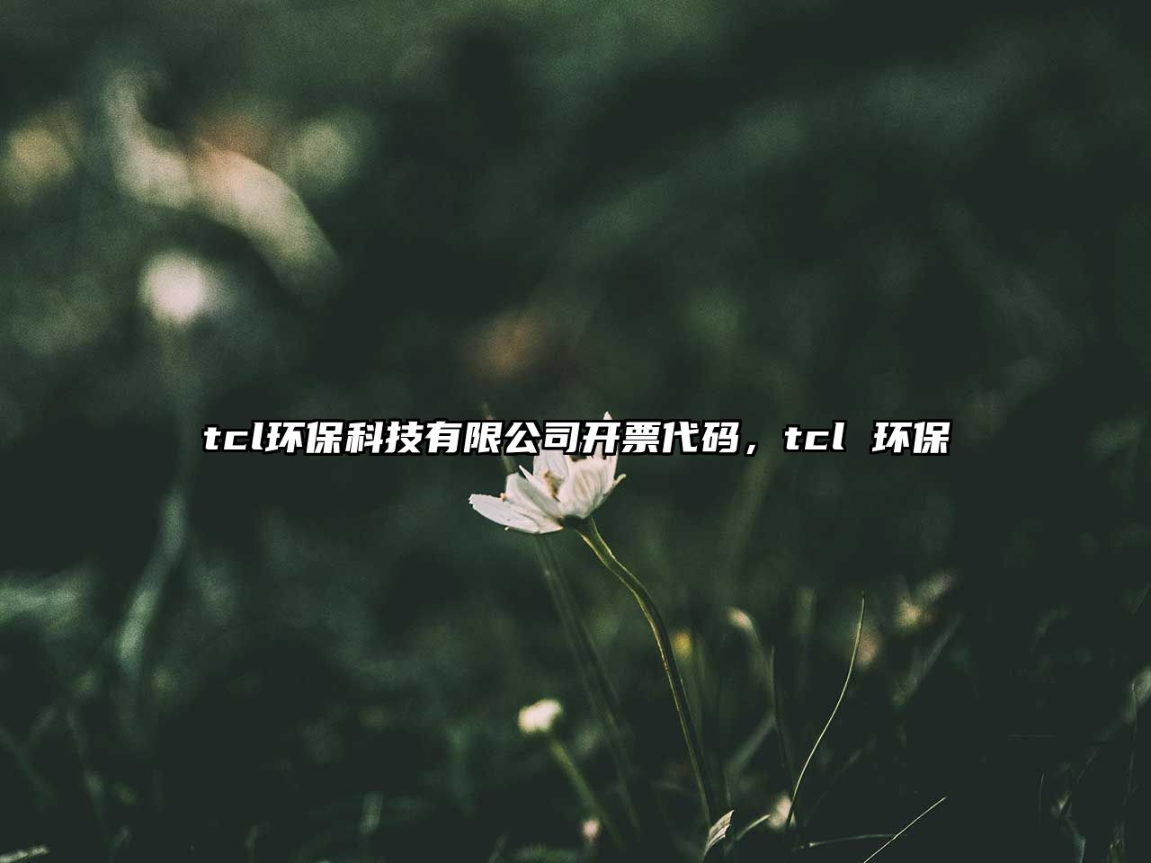 tcl環(huán)?？萍加邢薰鹃_票代碼，tcl 環(huán)保