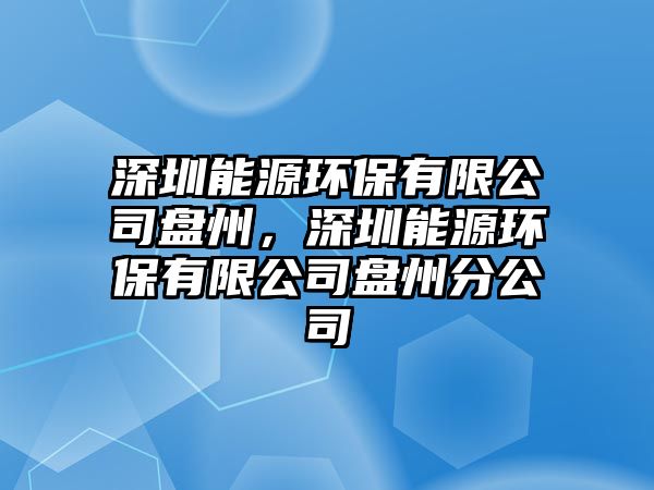 深圳能源環(huán)保有限公司盤州，深圳能源環(huán)保有限公司盤州分公司