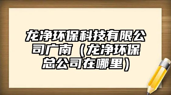 龍凈環(huán)保科技有限公司廣南（龍凈環(huán)?？偣驹谀睦铮? class=