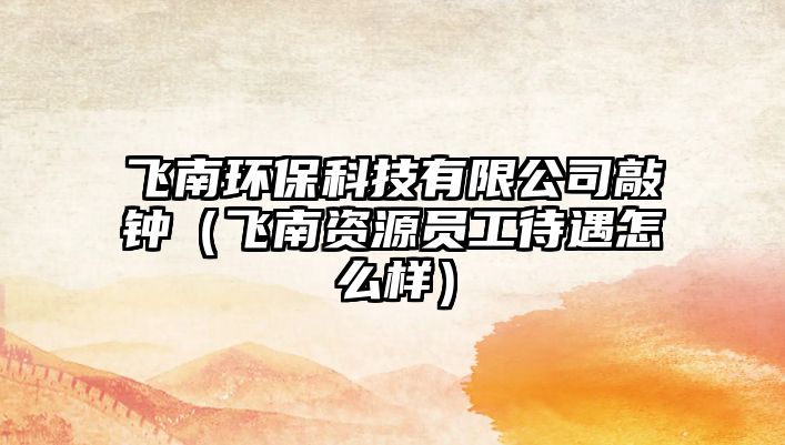 飛南環(huán)保科技有限公司敲鐘（飛南資源員工待遇怎么樣）