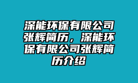 深能環(huán)保有限公司張輝簡歷，深能環(huán)保有限公司張輝簡歷介紹