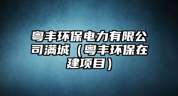 粵豐環(huán)保電力有限公司滿城（粵豐環(huán)保在建項(xiàng)目）