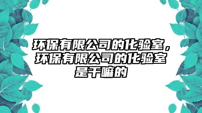 環(huán)保有限公司的化驗(yàn)室，環(huán)保有限公司的化驗(yàn)室是干嘛的