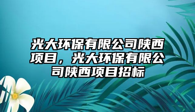 光大環(huán)保有限公司陜西項目，光大環(huán)保有限公司陜西項目招標