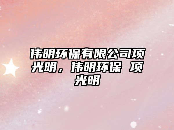 偉明環(huán)保有限公司項光明，偉明環(huán)保 項光明