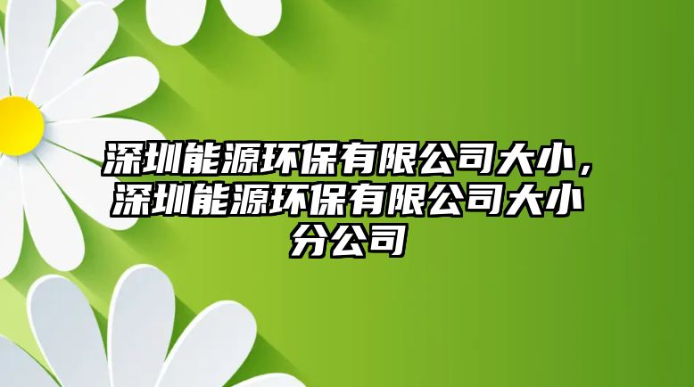 深圳能源環(huán)保有限公司大小，深圳能源環(huán)保有限公司大小分公司