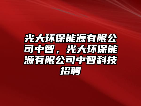 光大環(huán)保能源有限公司中智，光大環(huán)保能源有限公司中智科技招聘