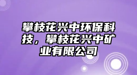 攀枝花興中環(huán)?？萍迹手ㄅd中礦業(yè)有限公司