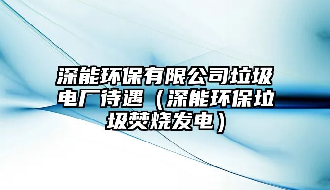 深能環(huán)保有限公司垃圾電廠待遇（深能環(huán)保垃圾焚燒發(fā)電）