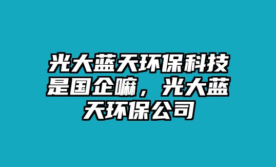 光大藍天環(huán)保科技是國企嘛，光大藍天環(huán)保公司