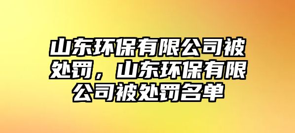 山東環(huán)保有限公司被處罰，山東環(huán)保有限公司被處罰名單