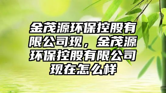 金茂源環(huán)保控股有限公司現(xiàn)，金茂源環(huán)?？毓捎邢薰粳F(xiàn)在怎么樣