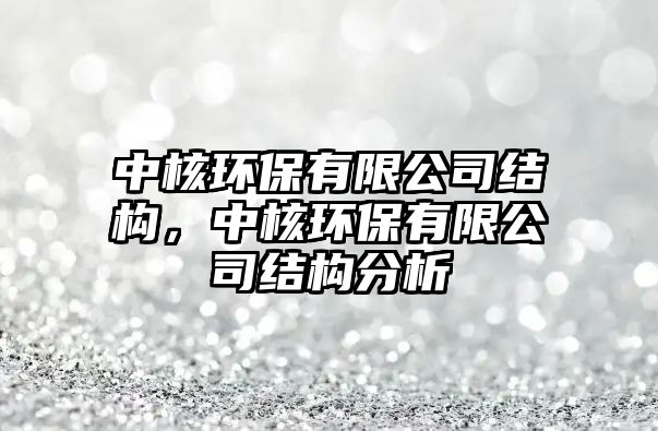 中核環(huán)保有限公司結(jié)構(gòu)，中核環(huán)保有限公司結(jié)構(gòu)分析