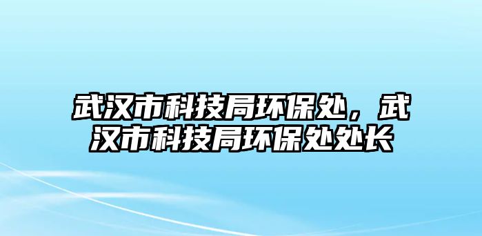 武漢市科技局環(huán)保處，武漢市科技局環(huán)保處處長