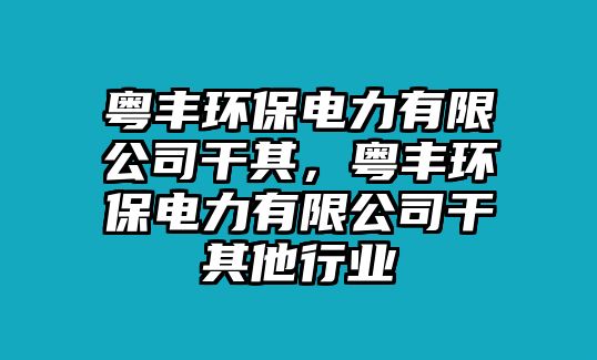 粵豐環(huán)保電力有限公司干其，粵豐環(huán)保電力有限公司干其他行業(yè)