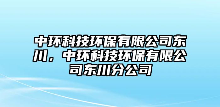 中環(huán)科技環(huán)保有限公司東川，中環(huán)科技環(huán)保有限公司東川分公司