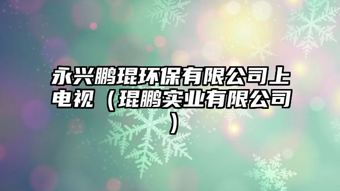 永興鵬琨環(huán)保有限公司上電視（琨鵬實業(yè)有限公司）