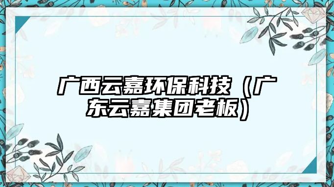 廣西云嘉環(huán)?？萍迹◤V東云嘉集團(tuán)老板）